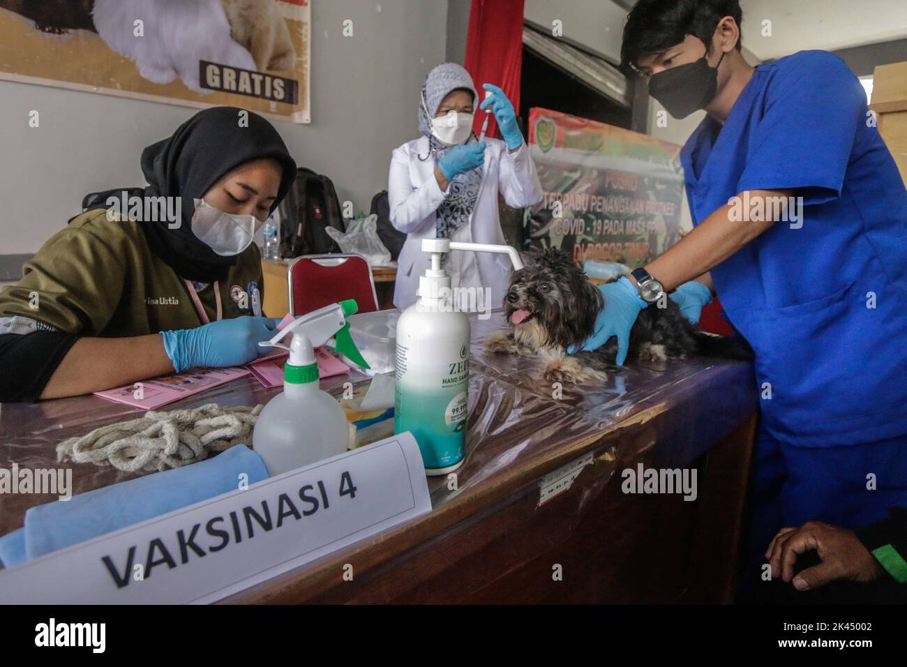 BOGOR, INDONÉSIE - 28 septembre 2022: animaux de compagnie dans la ville de Bogor, participant à des injections de vaccination contre la rage à la Journée mondiale de la rage, sur 28 septembre 2022 Banque D'Images