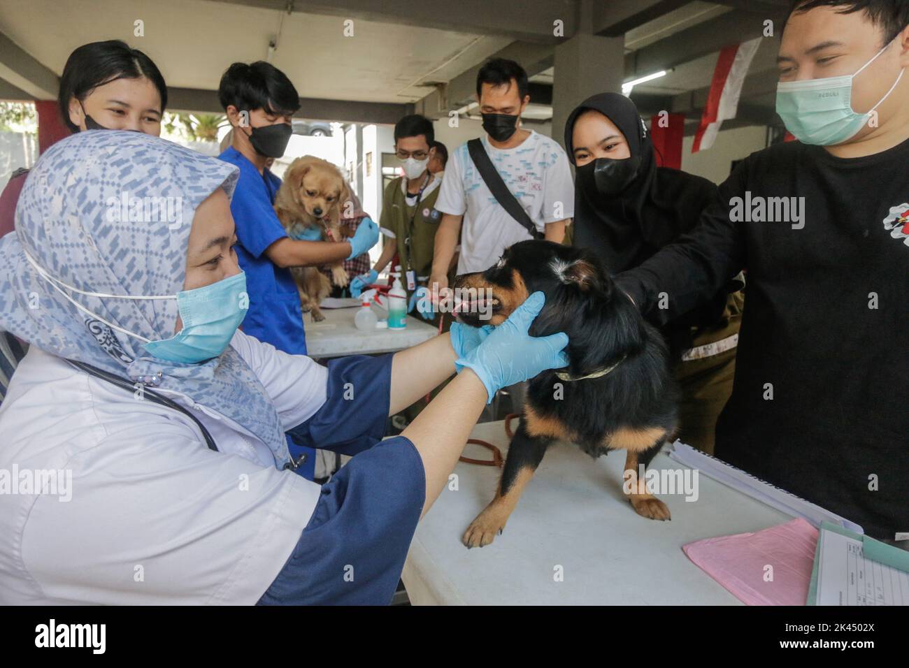 BOGOR, INDONÉSIE - 28 septembre 2022: animaux de compagnie dans la ville de Bogor, participant à des injections de vaccination contre la rage à la Journée mondiale de la rage, sur 28 septembre 2022 Banque D'Images