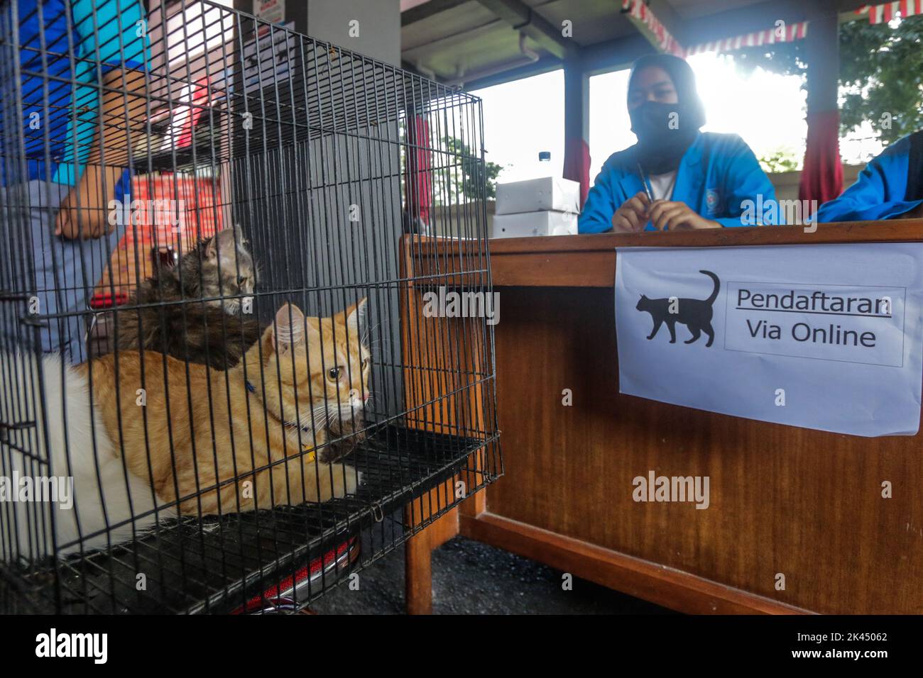 BOGOR, INDONÉSIE - 28 septembre 2022: animaux de compagnie dans la ville de Bogor, participant à des injections de vaccination contre la rage à la Journée mondiale de la rage, sur 28 septembre 2022 Banque D'Images