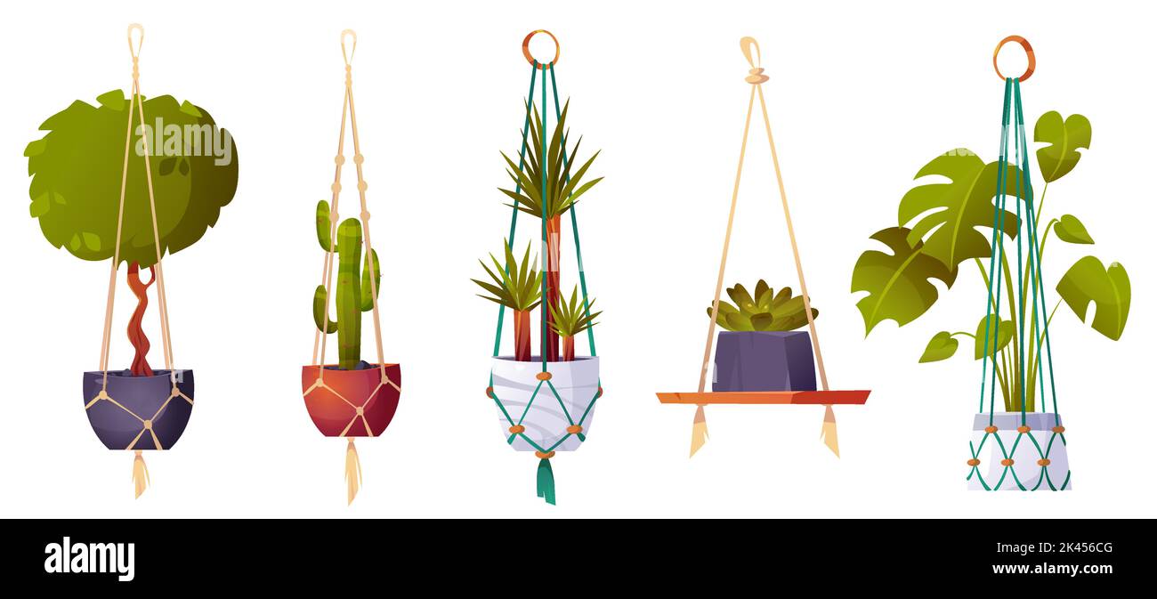 Cintres Macrame avec plantes vertes et fleurs. Jardinières faites à la main, pots suspendus avec cactus, ficus, dracaena et monstera pour l'intérieur de la maison, gard Illustration de Vecteur