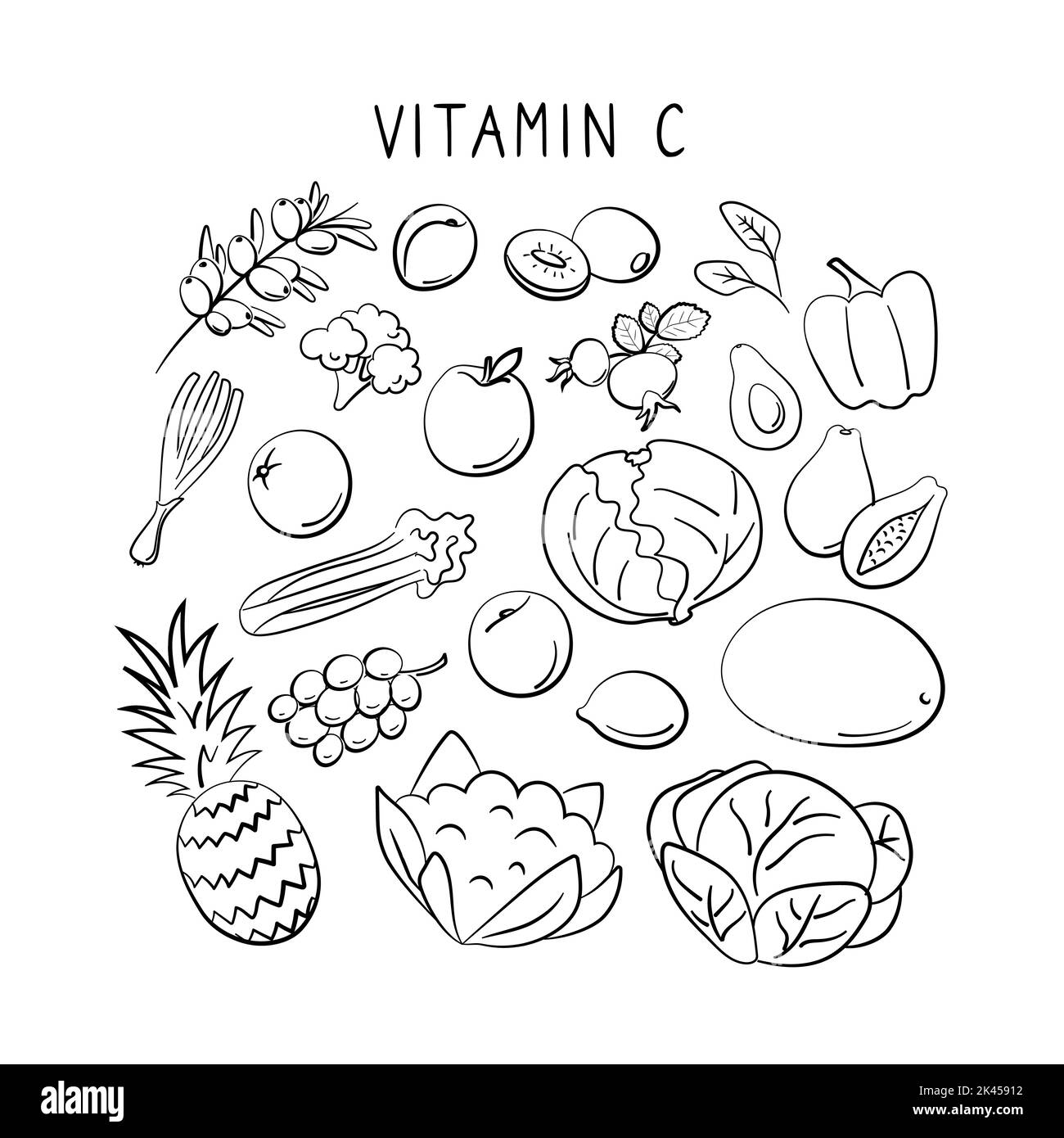Vitamine C acide ascorbique. Groupes de produits sains contenant des vitamines. Ensemble de fruits, légumes, viandes, poissons et produits laitiers Illustration de Vecteur