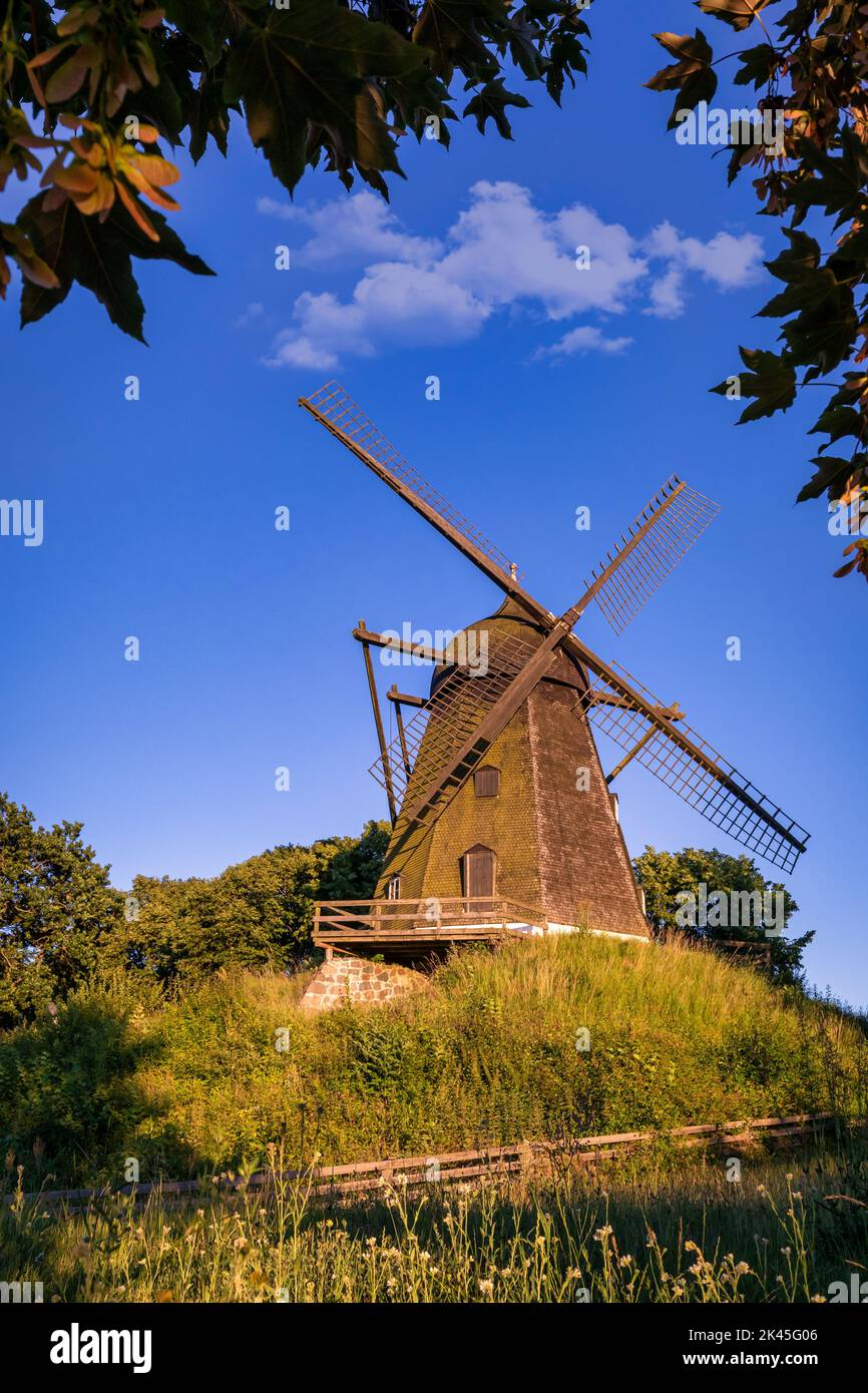 Karrebæk Mølle (moulin de Karrebaek) au coucher du soleil, Karrebæksminde, Danemark Banque D'Images