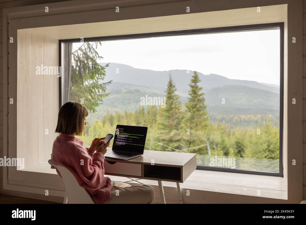 Femme travaille sur ordinateur portable à distance dans la maison sur la nature Banque D'Images