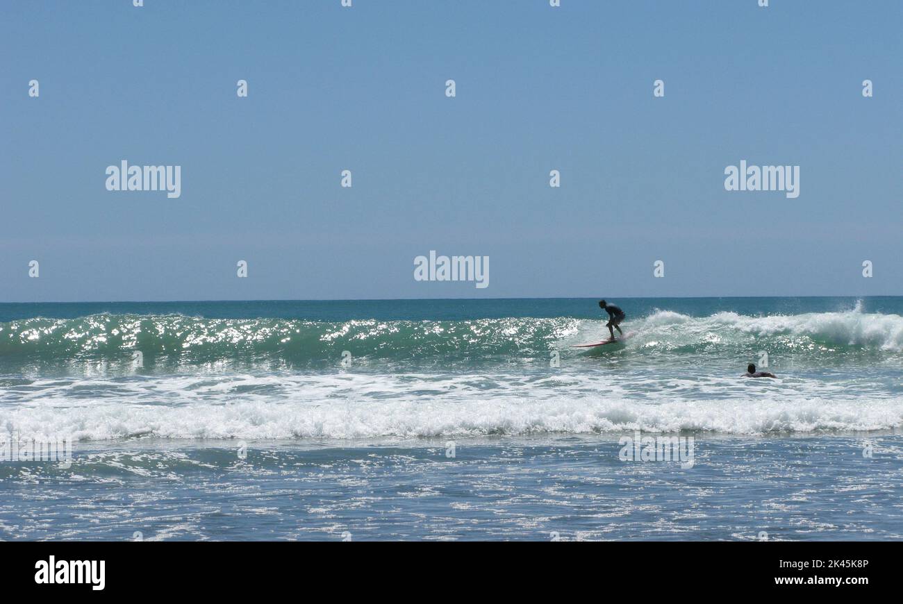 NEW ZEELAND surfent sur l'une des plages de l'île du nord où les vagues entrent Banque D'Images