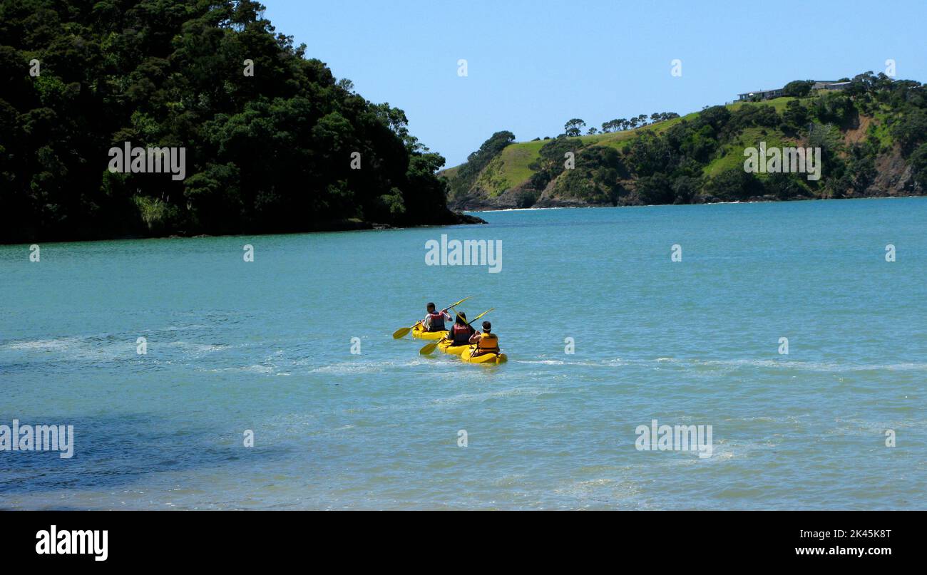 LES touristes NÉO-ZÉLANDAIS font du kayak dans l'une des nombreuses baies de l'île du nord Banque D'Images