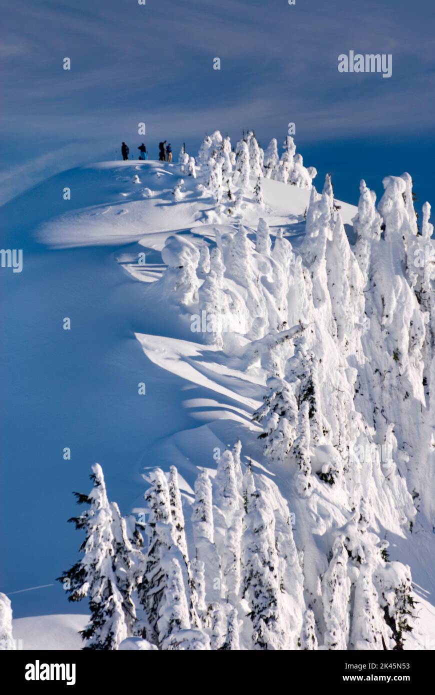 Neige d'hiver dans les montagnes des Cascades du Nord, vue en hauteur de la lumière du soleil sur les formations de glace sur les arbres. Banque D'Images