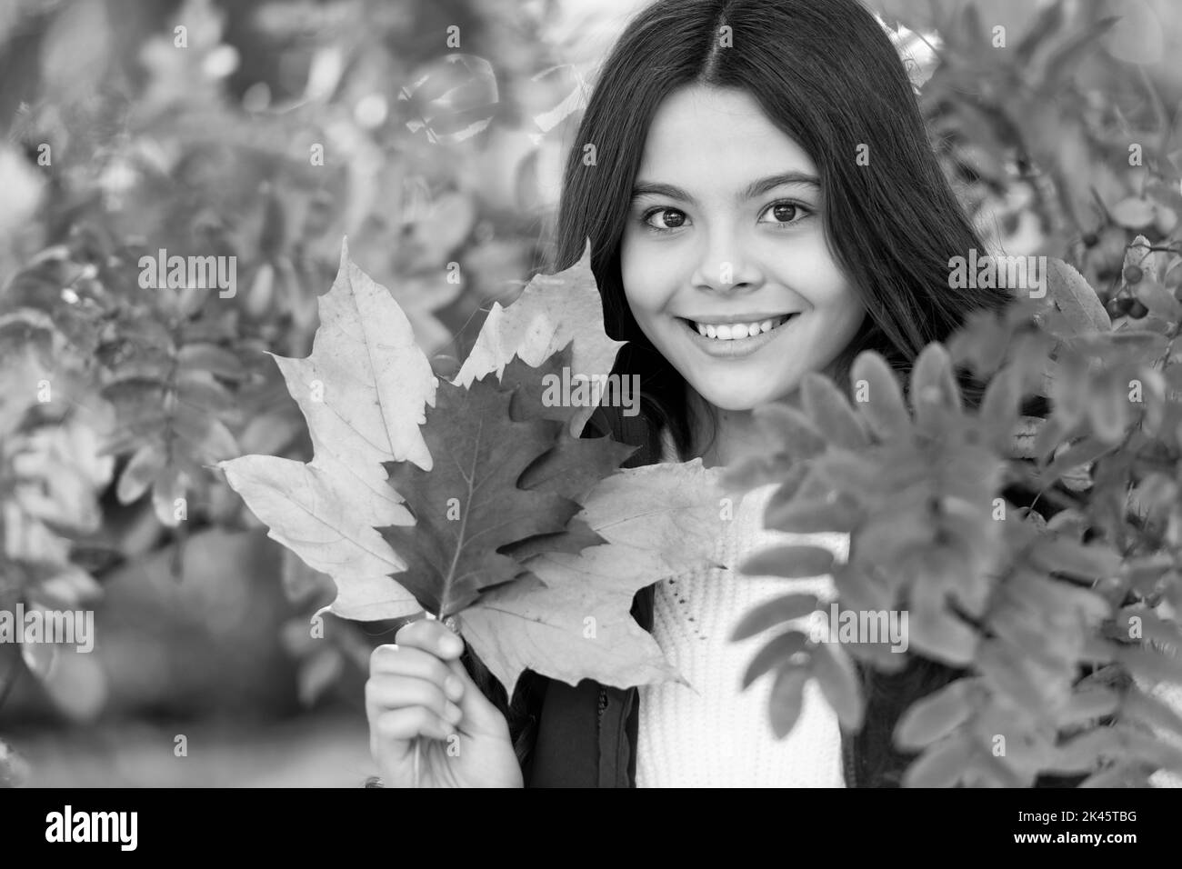 enfant heureux avec des feuilles colorées d'automne à rowan tree, portrait Banque D'Images