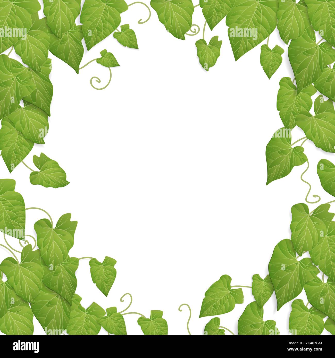 fond de feuilles vertes - thème de conception de vigne nature Banque D'Images
