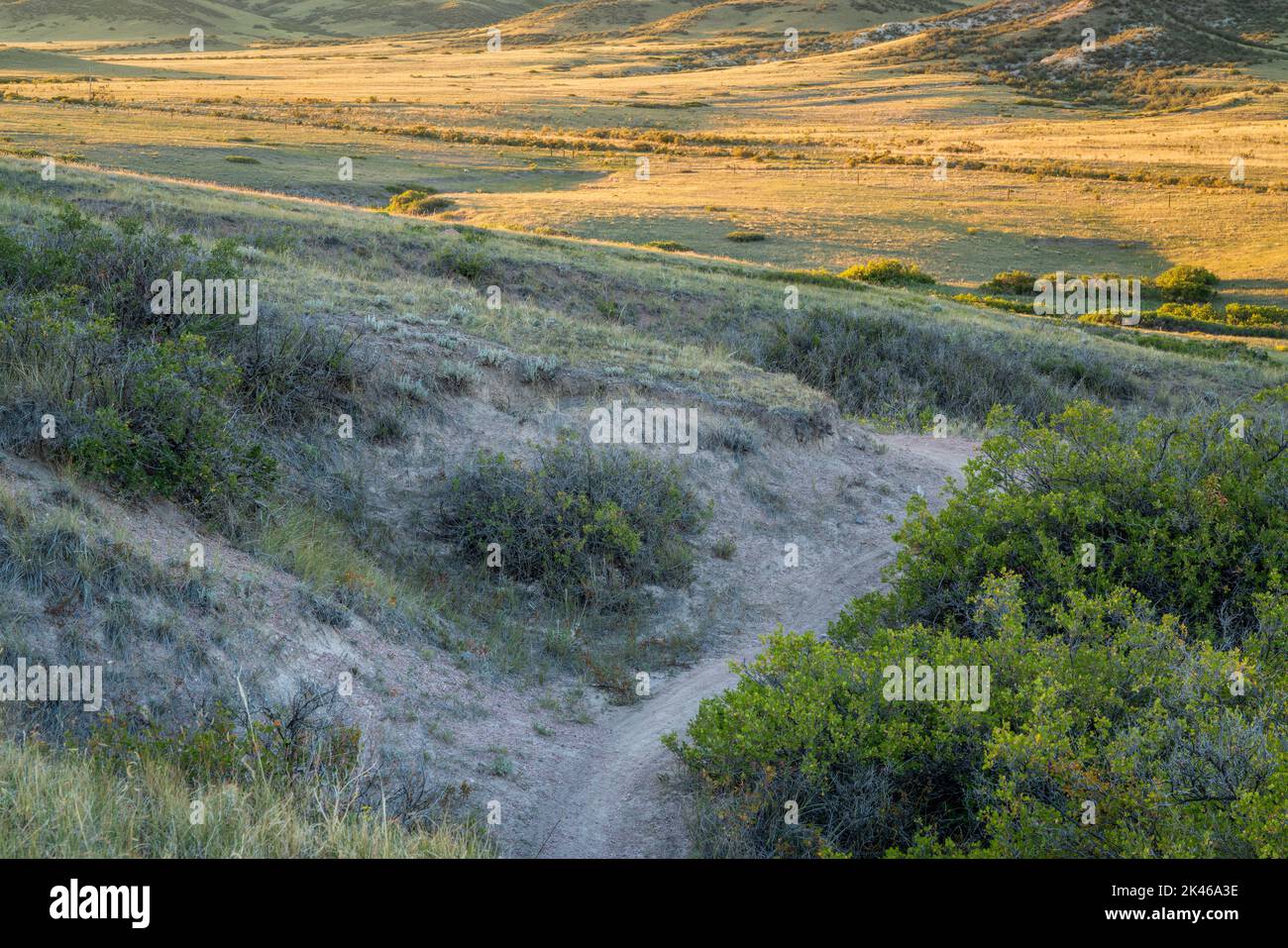 Piste cyclable dans une vallée de prairies dans le nord du Colorado, paysage du début du printemps de la zone naturelle de Soapstone Prairie près de fort Collins Banque D'Images