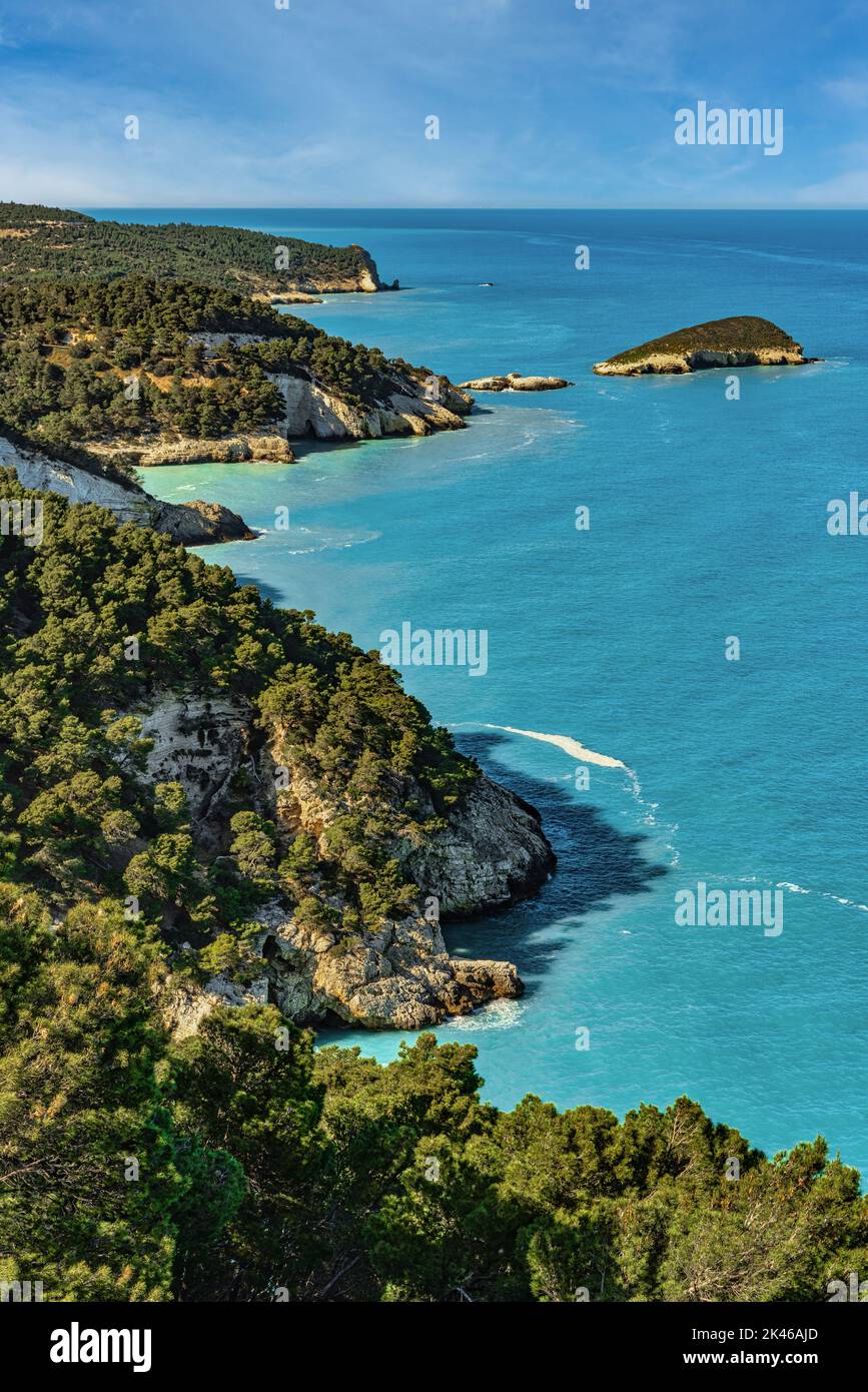 L'île de Campi dans la baie de Campi. L'île et la baie sont couvertes et entourées de végétation méditerranéenne avec des pins d'Alep. Vieste Banque D'Images