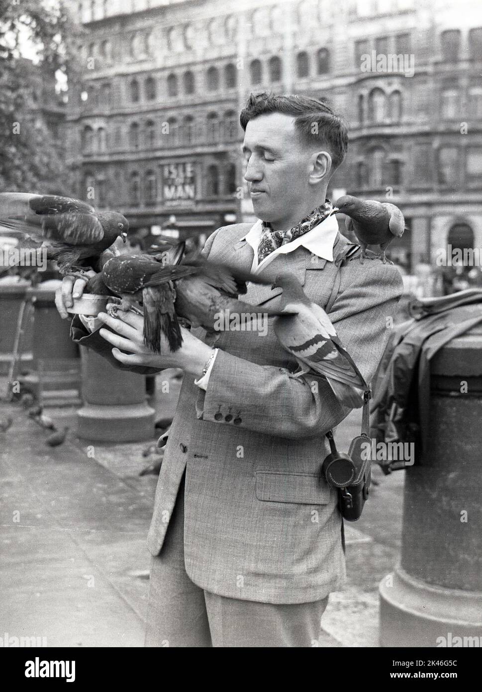 1958, historique, les pigeons sont assis sur un gentleman à Trafalgar Square, Westminster, Londres, Angleterre, Royaume-Uni comme il tient sa boîte de pois pour les nourrir. À cette époque et plus tard, l'alimentation des oiseaux sauvages a été autorisée sur la place et les commerçants ont vendu des boîtes de nourriture, mais au tournant de la décennie, avec des rénovations de millions de livres dans la région ayant eu lieu, des règlements d'application ont été introduits pour interdire l'alimentation afin de réduire considérablement le nombre de personnes et d'améliorer l'environnement. Banque D'Images