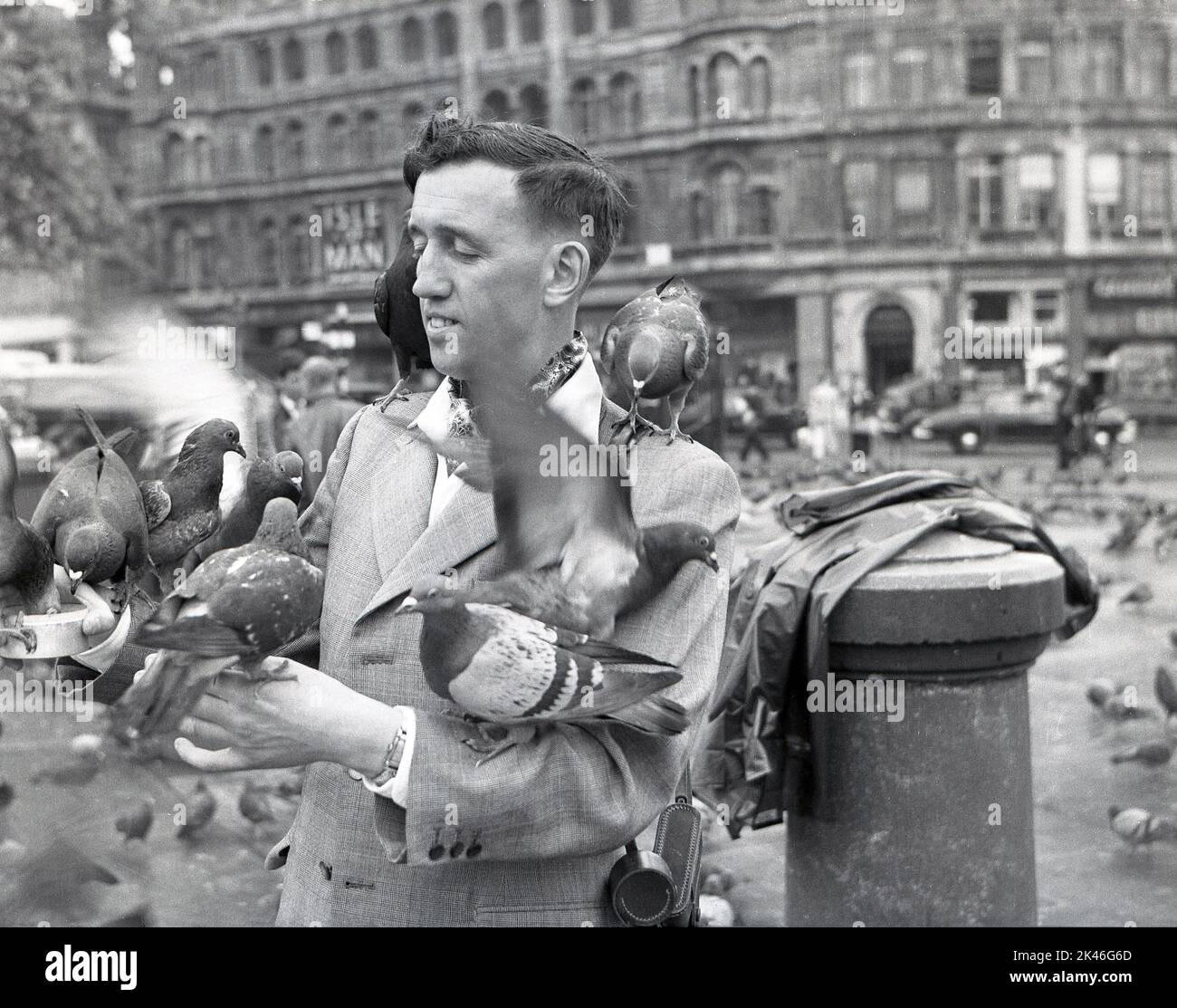 1958, historique, les pigeons sont assis sur un gentleman à Trafalgar Square, Westminster, Londres, Angleterre, Royaume-Uni comme il tient sa boîte de pois pour les nourrir. À cette époque et plus tard, l'alimentation des oiseaux sauvages a été autorisée sur la place et les commerçants ont vendu des boîtes de nourriture, mais au tournant de la décennie, avec des rénovations de millions de livres dans la région ayant eu lieu, des règlements d'application ont été introduits pour interdire l'alimentation afin de réduire considérablement le nombre de personnes et d'améliorer l'environnement. Banque D'Images