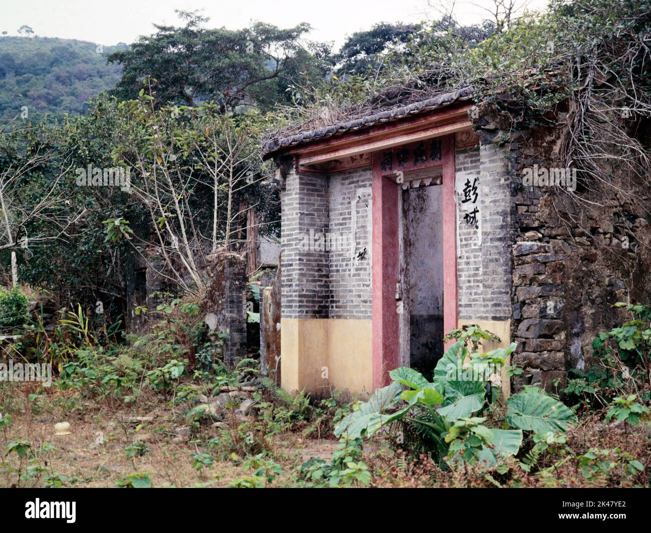 Maison de village en ruines près de Ma sur Shan, Sai Kung Country Park, Hong Kong 1985 Banque D'Images