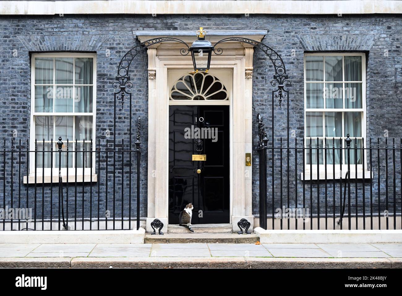 Larry est un chat errant sauvé de Battersea Dogs & Cats Home, choisi par le personnel de Downing Street. Larry était destiné à être un animal de compagnie pour les enfants de David et Samantha Cameron, Et a été décrit par Downing Street sources comme une bonne bavardage et comme ayant un entraînement de chasse élevé et un instinct de chasse. En 2012, Battersea Dogs & Cats Home a révélé que la popularité de Larry avait entraîné une augmentation de 15 pour cent des personnes adoptant des chats. Banque D'Images