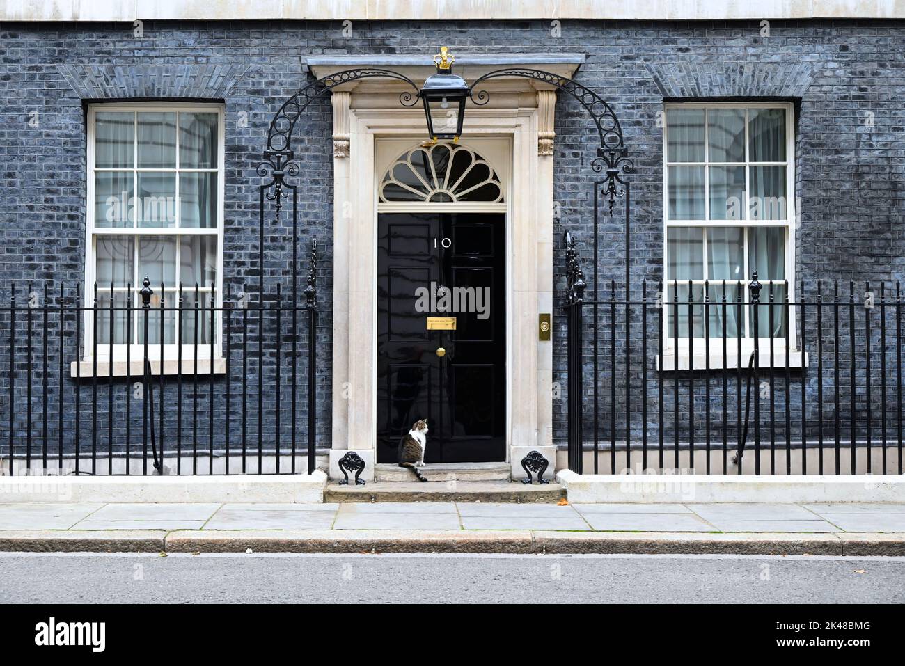 Larry est un chat errant sauvé de Battersea Dogs & Cats Home, choisi par le personnel de Downing Street. Larry était destiné à être un animal de compagnie pour les enfants de David et Samantha Cameron, Et a été décrit par Downing Street sources comme une bonne bavardage et comme ayant un entraînement de chasse élevé et un instinct de chasse. En 2012, Battersea Dogs & Cats Home a révélé que la popularité de Larry avait entraîné une augmentation de 15 pour cent des personnes adoptant des chats. Banque D'Images