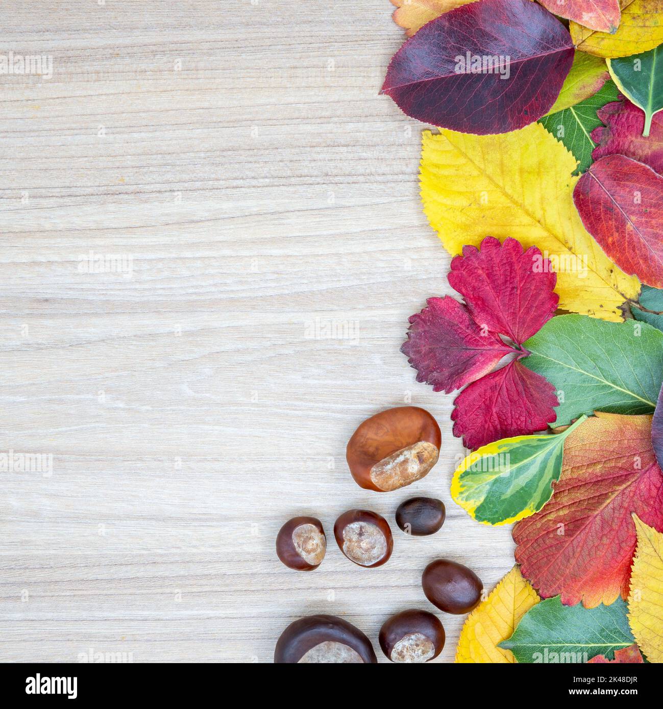 Mise en page créative faite de feuilles séchées et de quelques châtaignes en automne sur une table en bois avec un espace neutre. Concept de pose à plat. Pour la diapositive de présentation. Banque D'Images