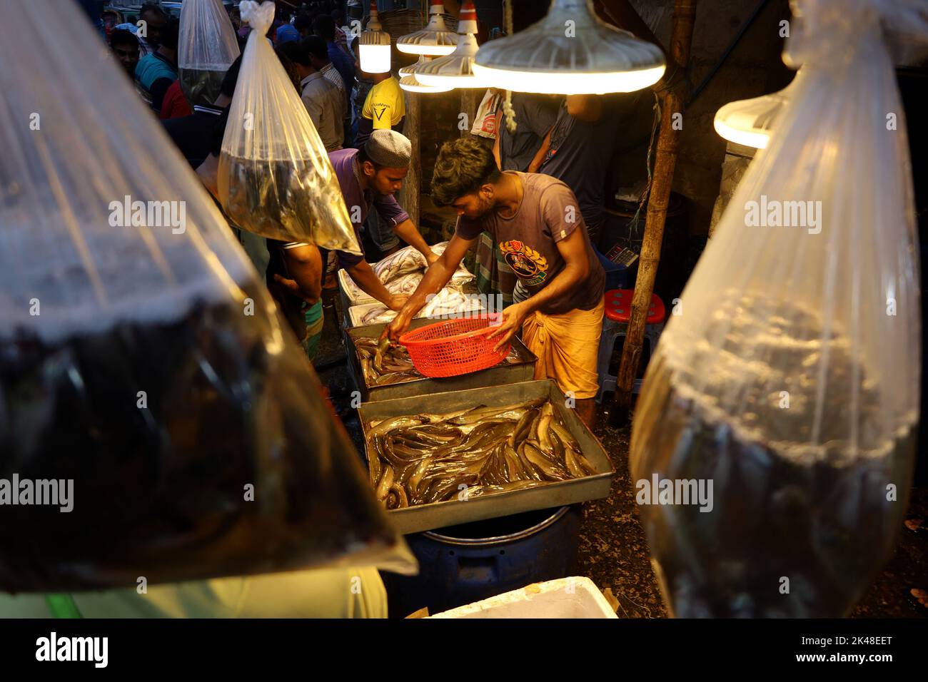Dhaka, Dhaka, Bangladesh. 1st octobre 2022. Marché de poissons en gros au Karwan Bazaar à Dhaka tôt le matin. Engagement des acheteurs et des vendeurs sur le marché. (Credit image: © Syed Mahabubul Kader/ZUMA Press Wire) Credit: ZUMA Press, Inc./Alamy Live News Banque D'Images