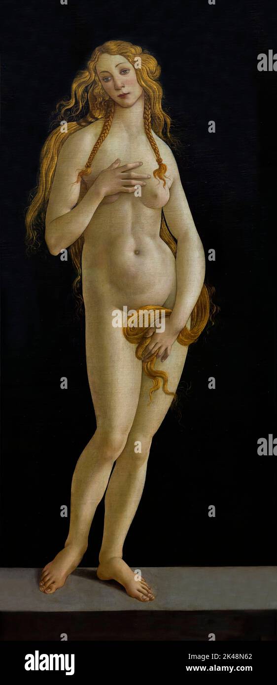 Vénus, Sandro Botticelli, vers 1490, Gemaldegalerie, Berlin, Allemagne, Europe Banque D'Images