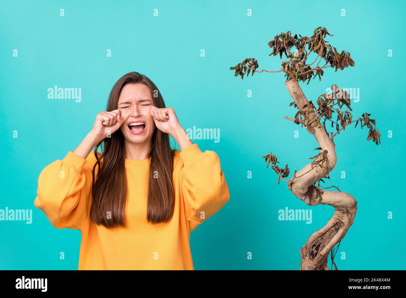 Photo de jeune adorable mignon jolie femme porter chemise jaune pleurs nerveux malheureux sa fleur sèche oubliez l'eau isolée sur la couleur de l'aigue-marine Banque D'Images