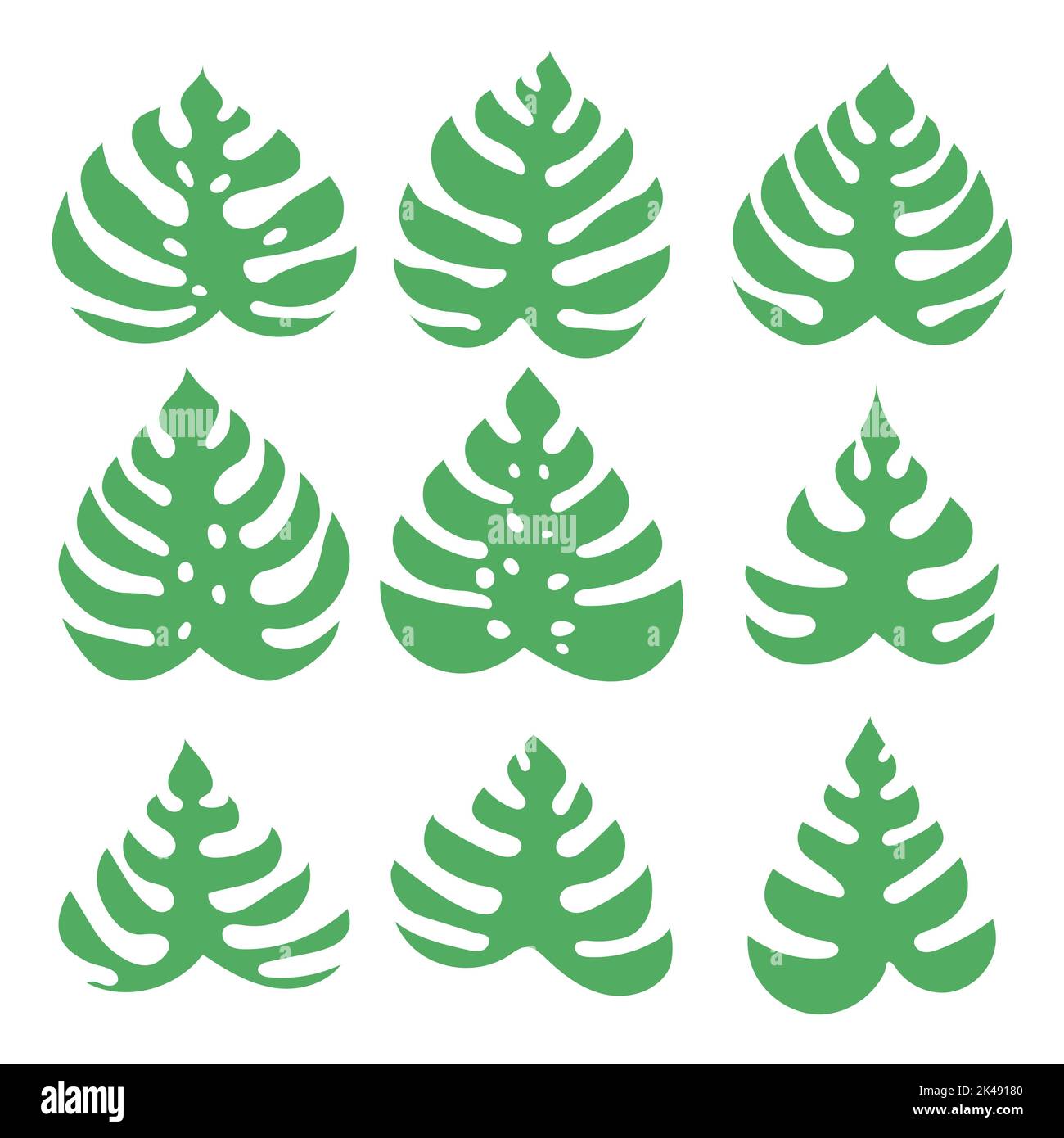 Ensemble de feuilles de Monstera vertes isolées sur fond blanc Illustration de Vecteur