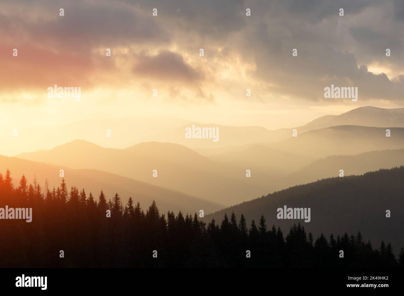 Brouillard du matin dans les montagnes du printemps. Magnifique lever de soleil sur fond. Photographie de paysage Banque D'Images