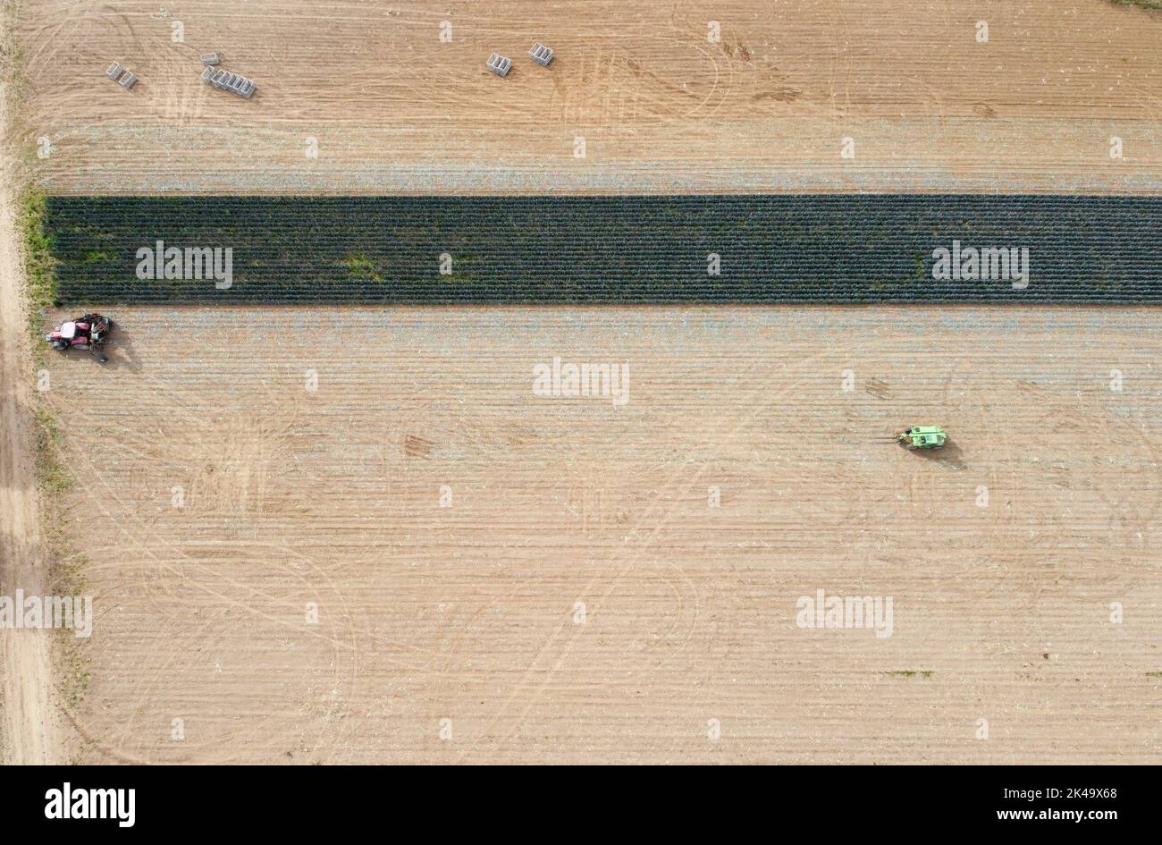 Vue aérienne d'une moissonneuse-batteuse et d'un tracteur travaillant dans un champ agricole Banque D'Images
