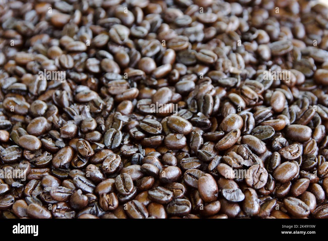 Photo en gros plan des grains de café torréfiés de l'Ouganda Banque D'Images