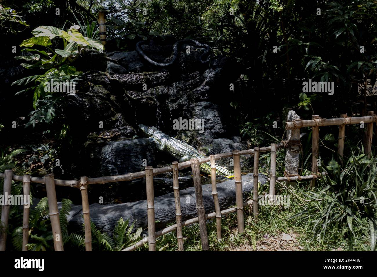 Photo d'une sculpture de crocodile dans une jungle rocheuse du parc de crocodiles de Chennai Banque D'Images