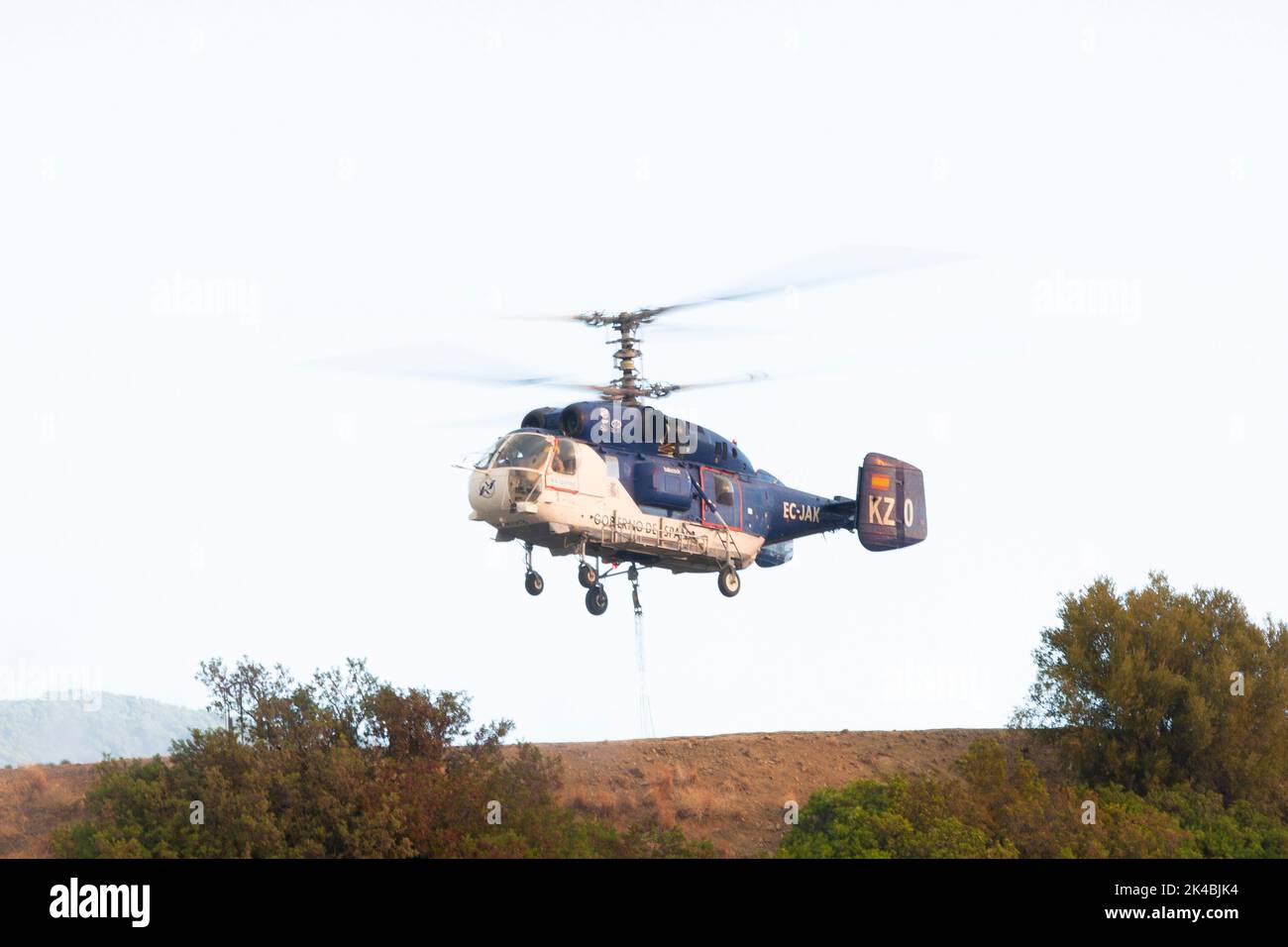 Un hélicoptère Kamov Ka-32 collectant de l'eau alors qu'il combat l'un des plus grands feux de forêt à frapper le sud de l'Espagne Banque D'Images