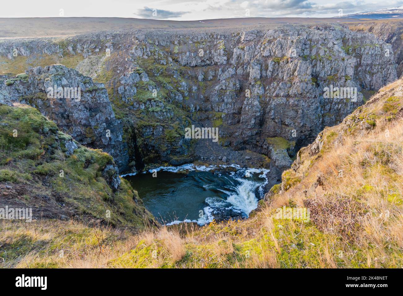 Magnifique paysage et nature islandais Banque D'Images