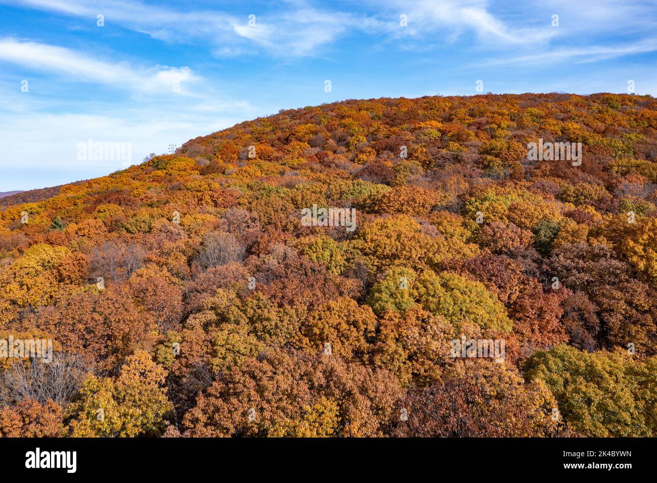 Vue aérienne du feuillage de pointe dans le New Jersey pendant l'automne. Banque D'Images