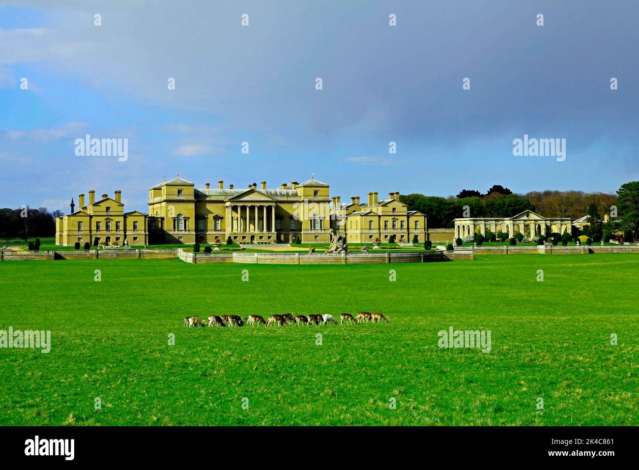 Holkham Hall, manoir palladien, demeure ancestrale, parc, troupeau de cerfs, Norfolk, Angleterre, Royaume-Uni Banque D'Images