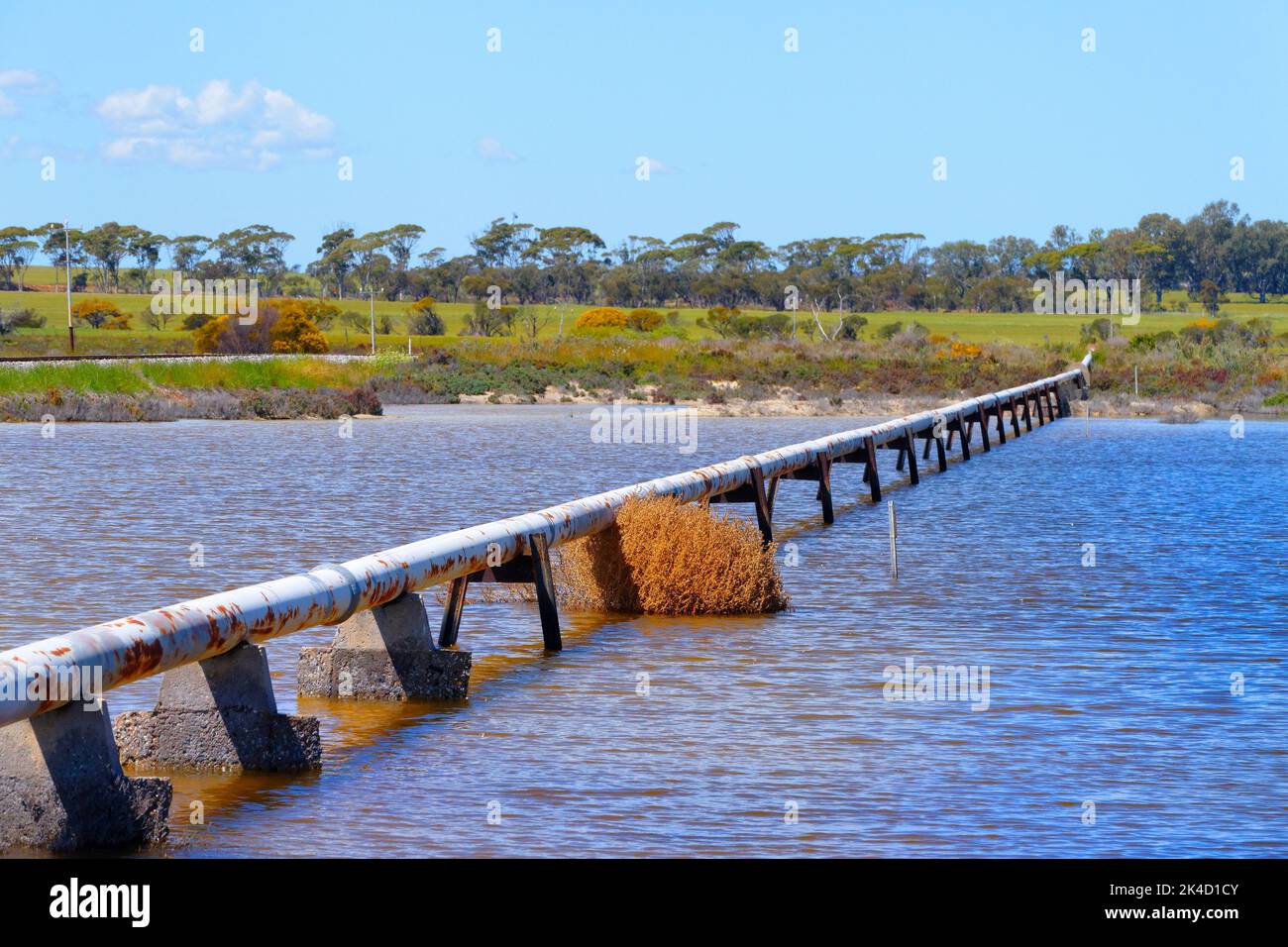 Conduite d'eau sur des peuplements traversant le lac salé, Wongan Hills, Australie occidentale Banque D'Images