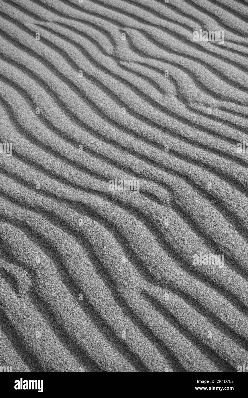 Le fond de sable, les vagues de sable sur les jours venteux sur la plage ou dans le désert, fond naturel. Niveaux de gris Banque D'Images