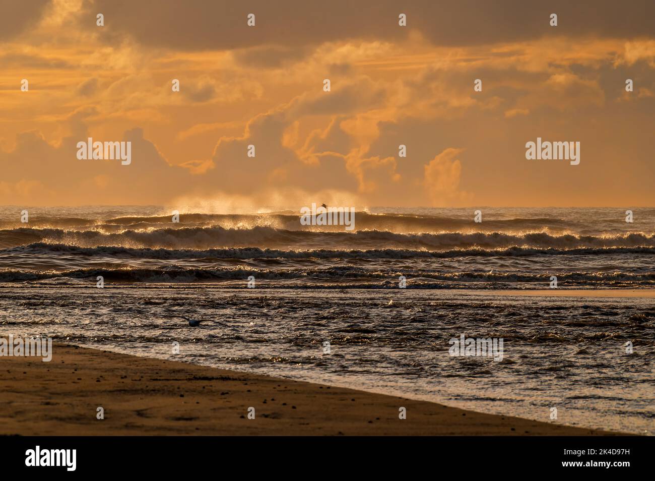 Le ruisseau waitohu s'écoule dans la mer de tasman au nord d'Otaki. En fin d'après-midi soleil, pas de gens. Les nuages se profilent à l'horizon et un seul mouette vole Banque D'Images