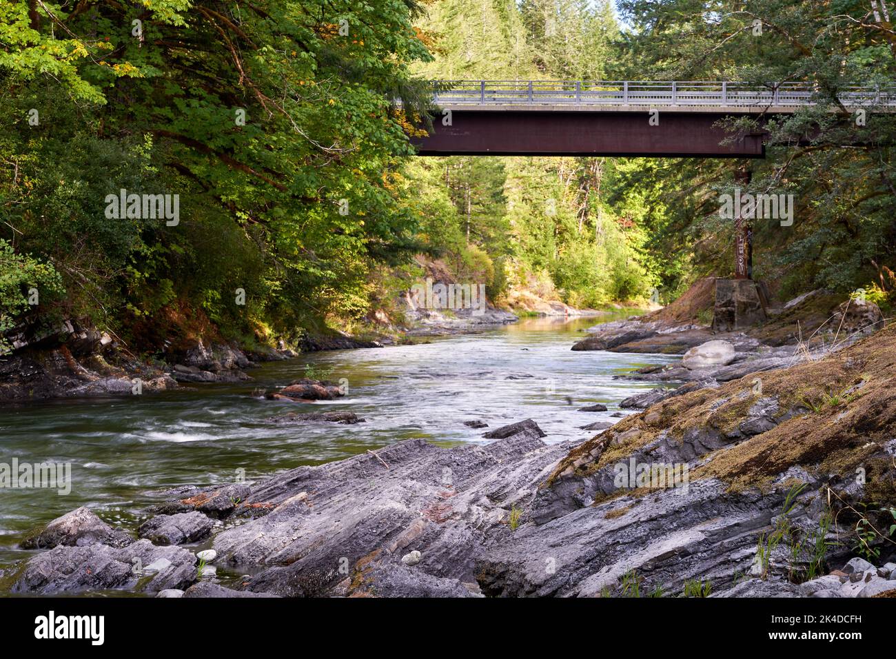 Vue sur un pont de route forestière depuis la belle rivière sous le