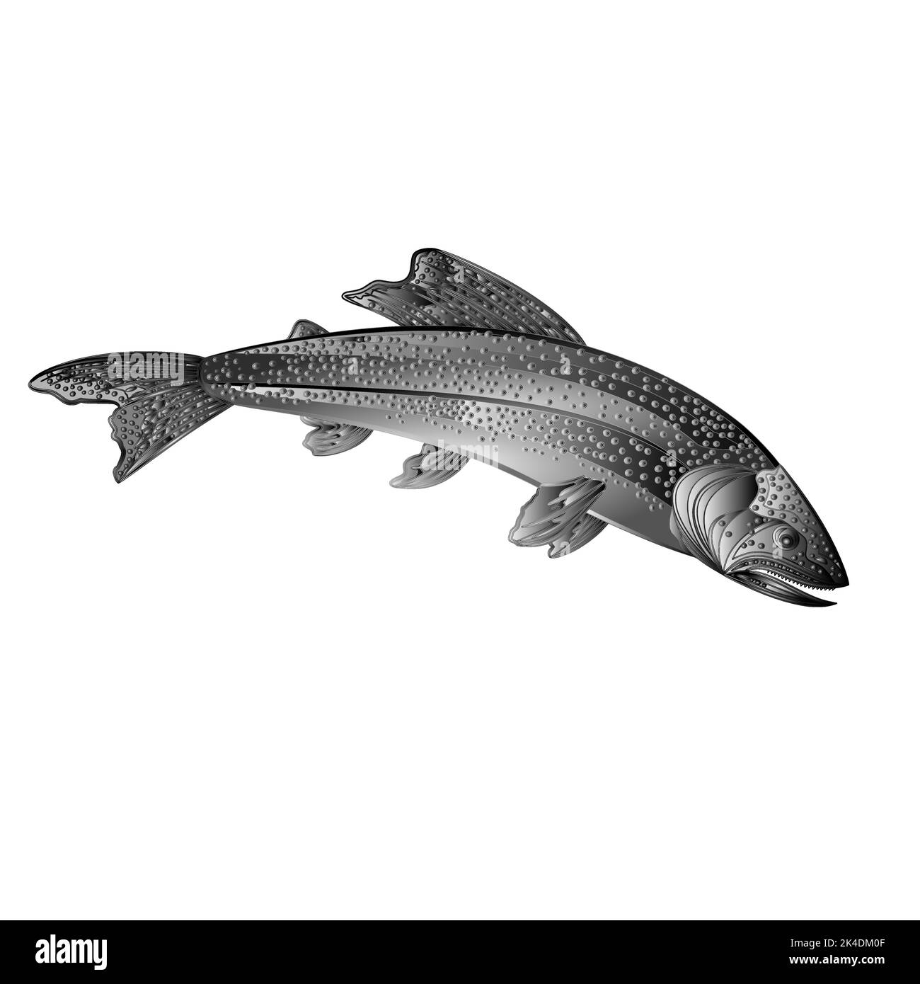 Poisson prédateur de saumon de l'omble de fontaine américaine comme illustration vectorielle vintage en métal forgé Illustration de Vecteur