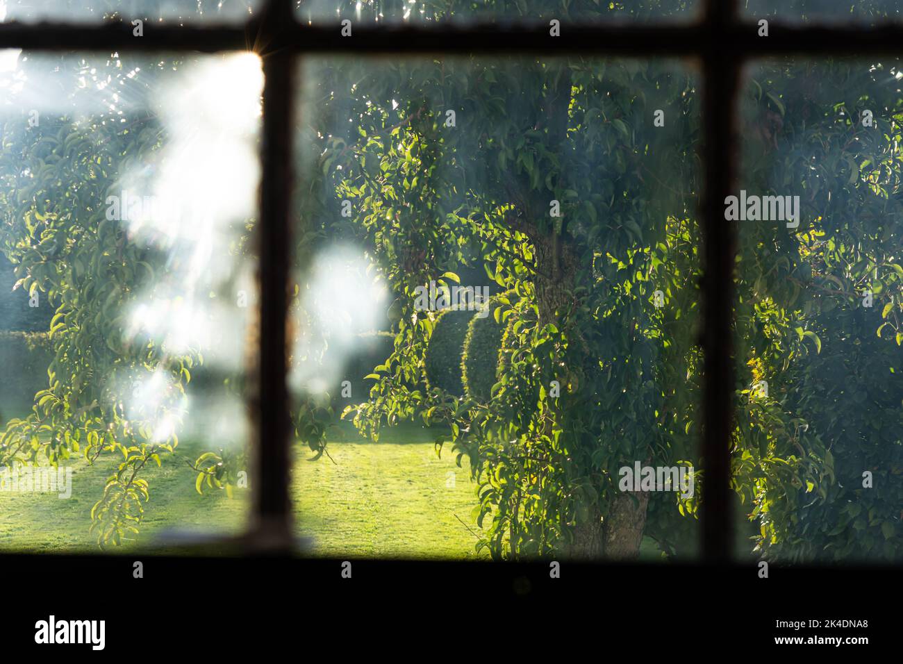 Vue depuis une vieille fenêtre de grange sale avec des toiles d'araignée dans un jardin éclairé par le soleil Banque D'Images