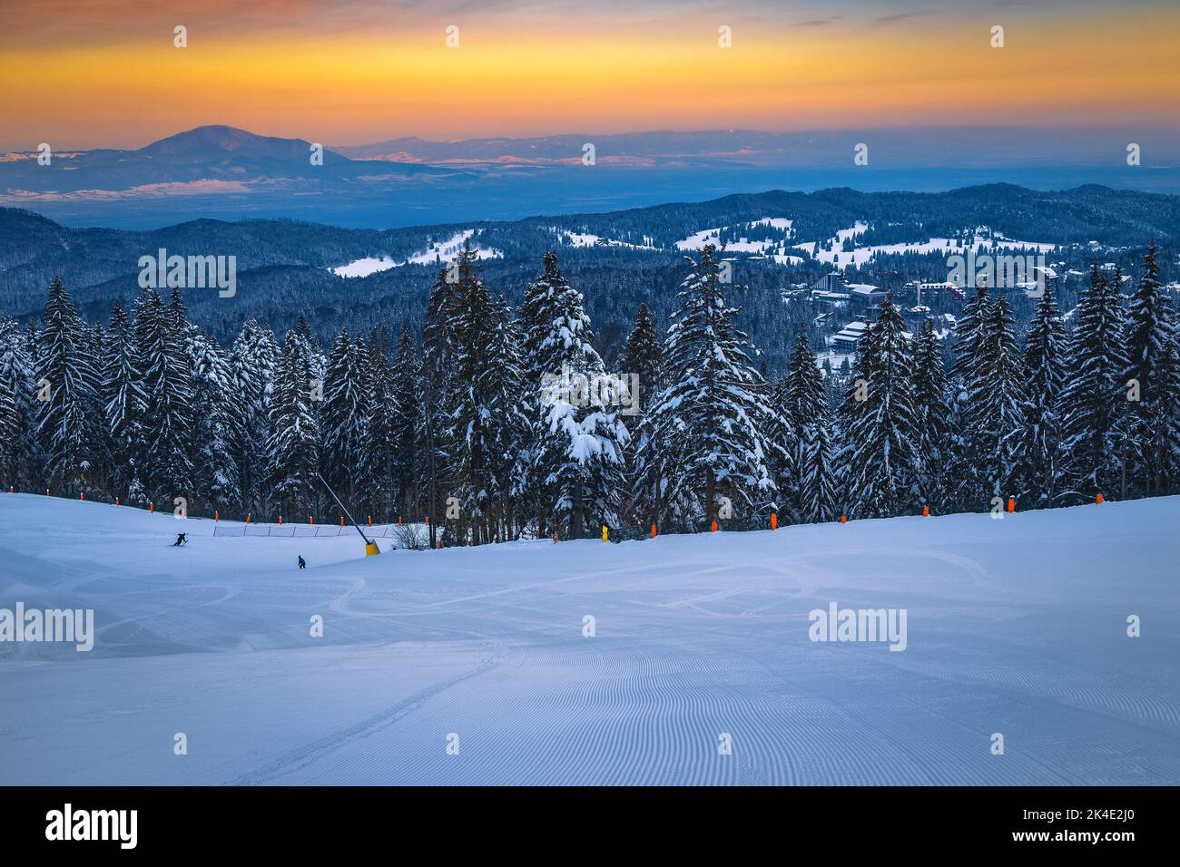 Superbe forêt de pins enneigés et large, vide ski pente au lever du soleil, station de ski de Poiana Brasov, Transylvanie, Roumanie, Europe Banque D'Images