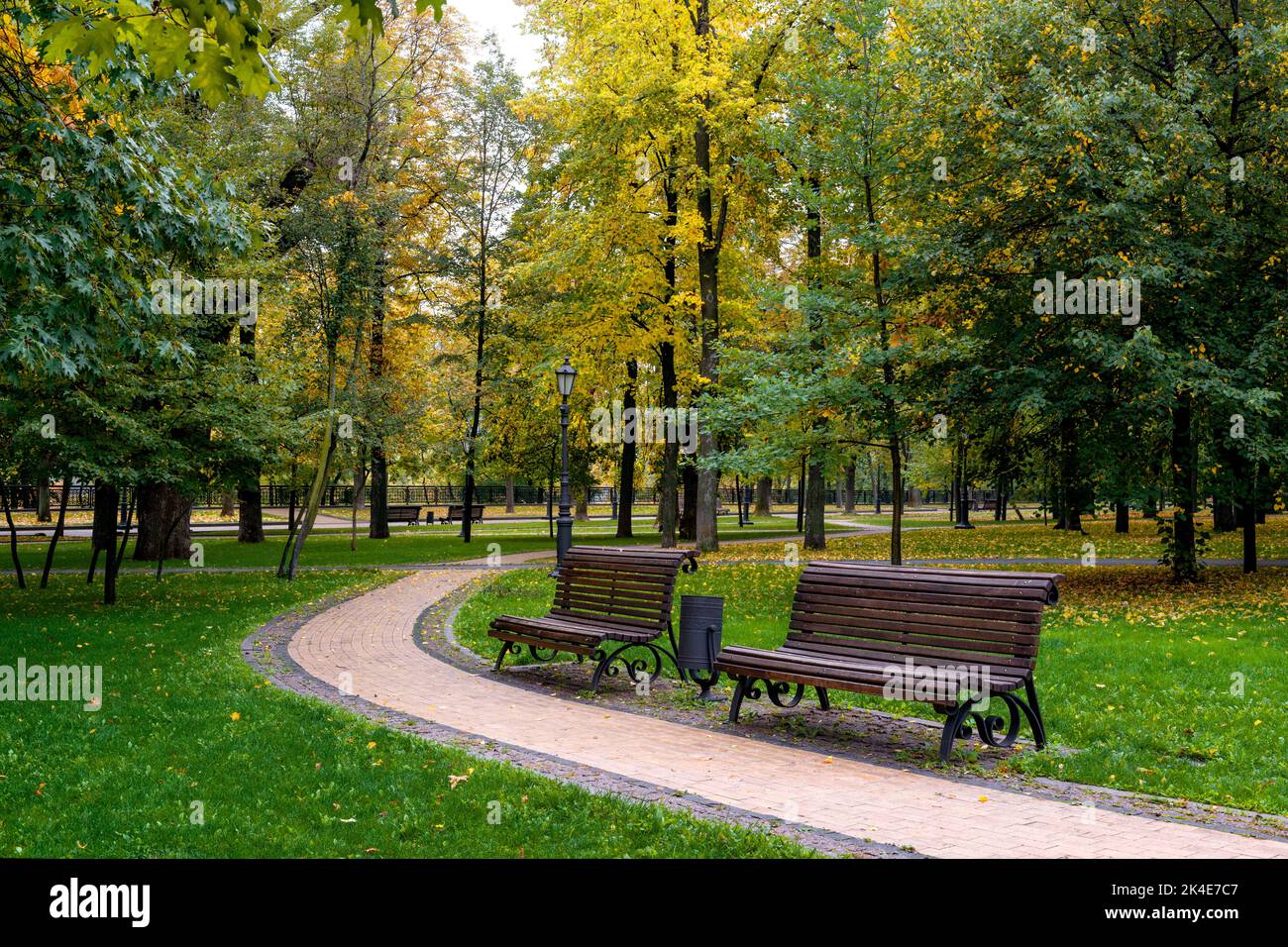 Promenade avec des bancs dans le parc d'automne avec des feuilles jaunes sur le sol Banque D'Images