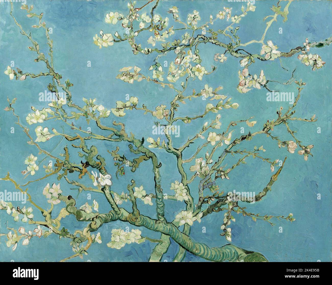 Fleur d'amande, Vincent Van Gogh Date1890 Banque D'Images