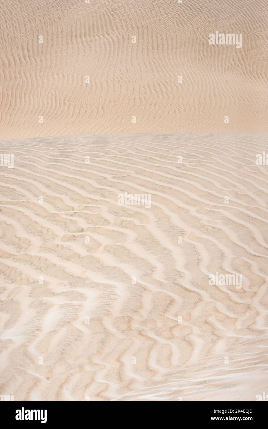 Des dunes de sucre blanches aveuglantes près d'al-Khalif, Oman Banque D'Images