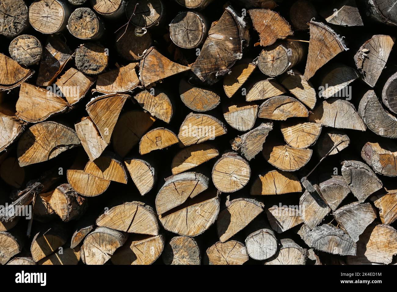 Troncs de bois de charpente pile, l'industrie forestière du bois de forêt. Scier des arbres de la forêt. Troncs en bois épais. Banque D'Images