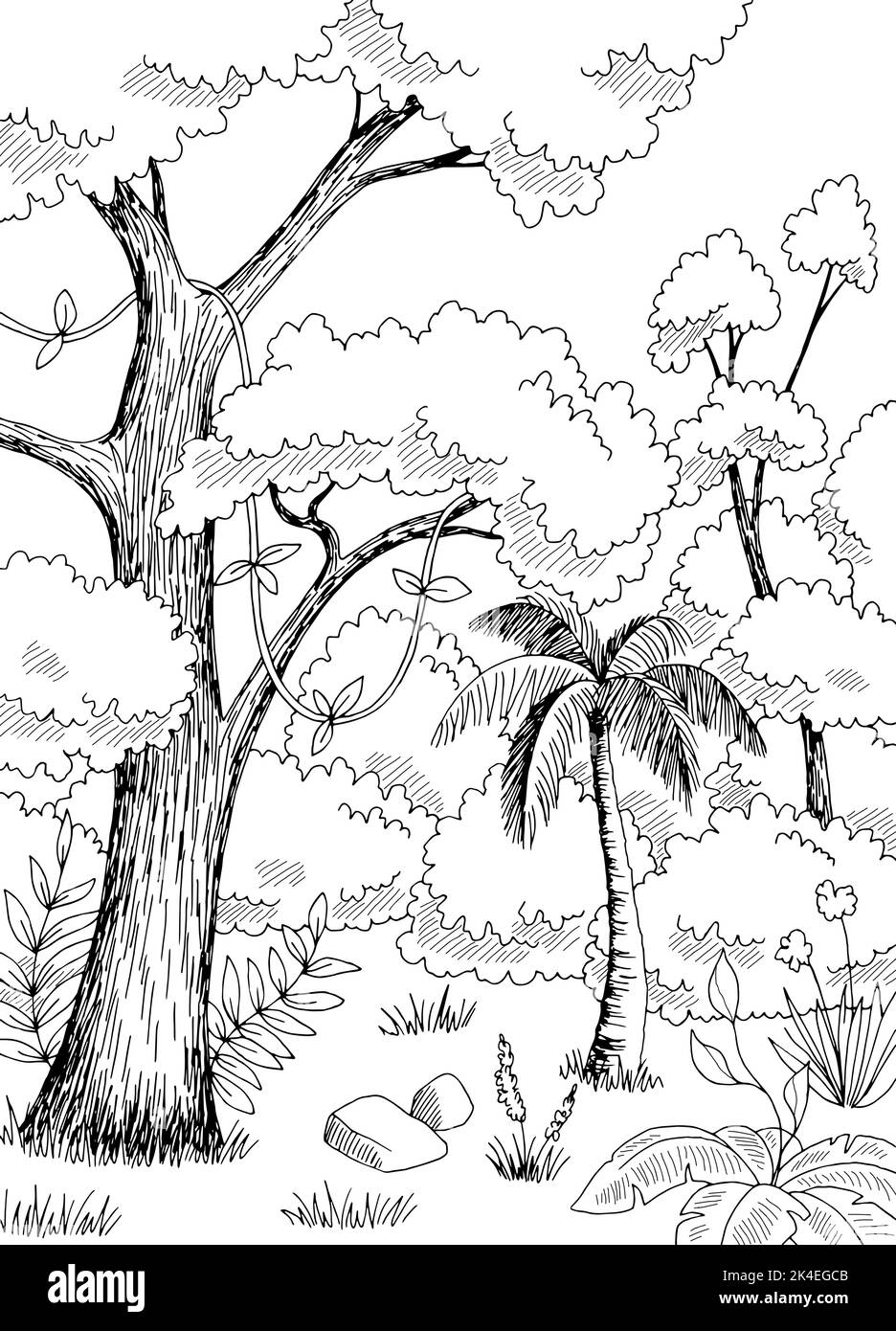 Jungle pluie forêt graphique noir blanc paysage vertical esquisse vecteur d'illustration Illustration de Vecteur