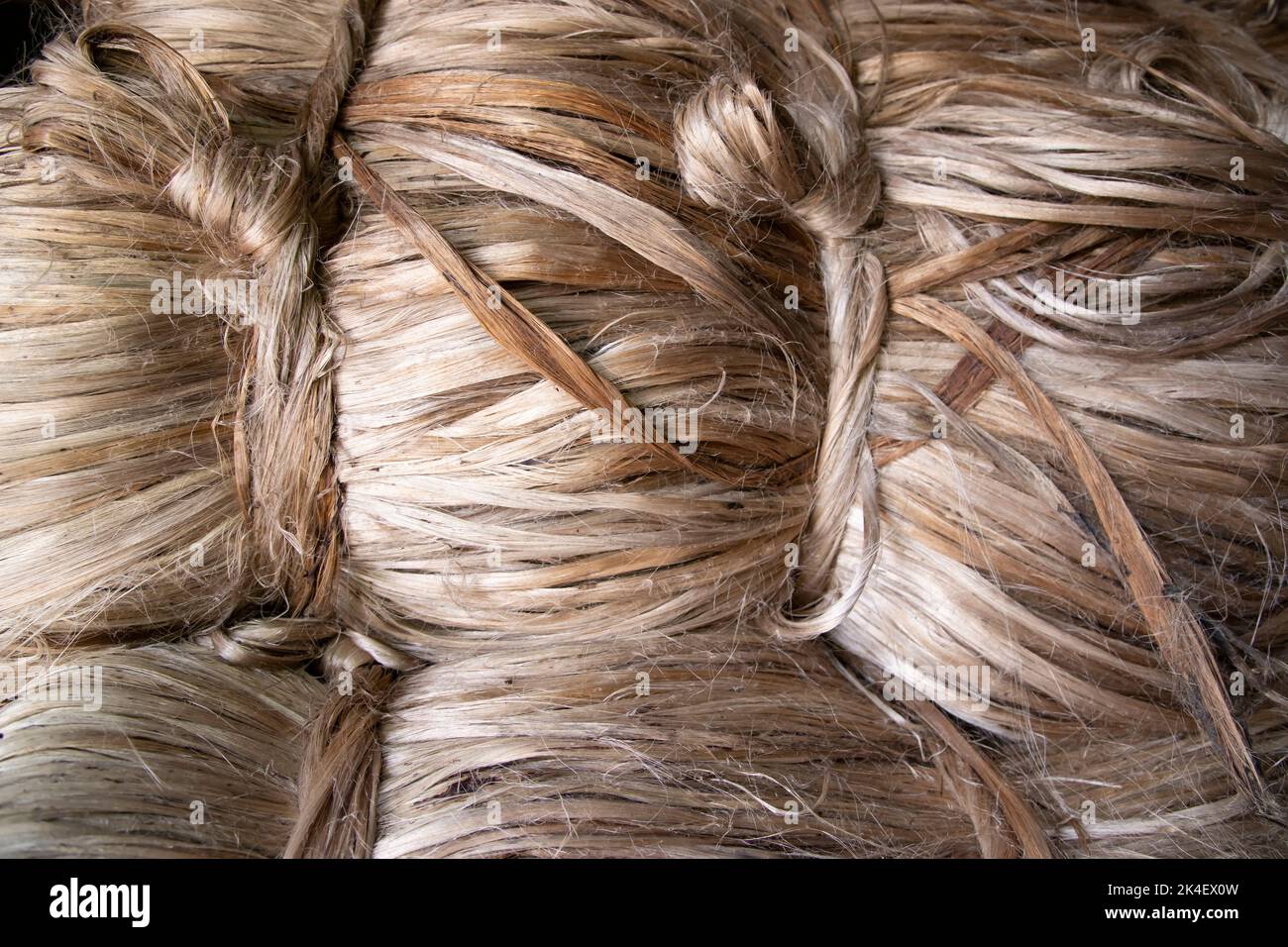 Un faisceau épais d'arrière-plan de texture en fibre de jute dorée Banque D'Images