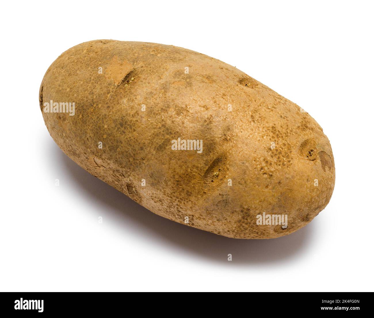 Grande pomme de terre Russet découpée sur blanc. Banque D'Images