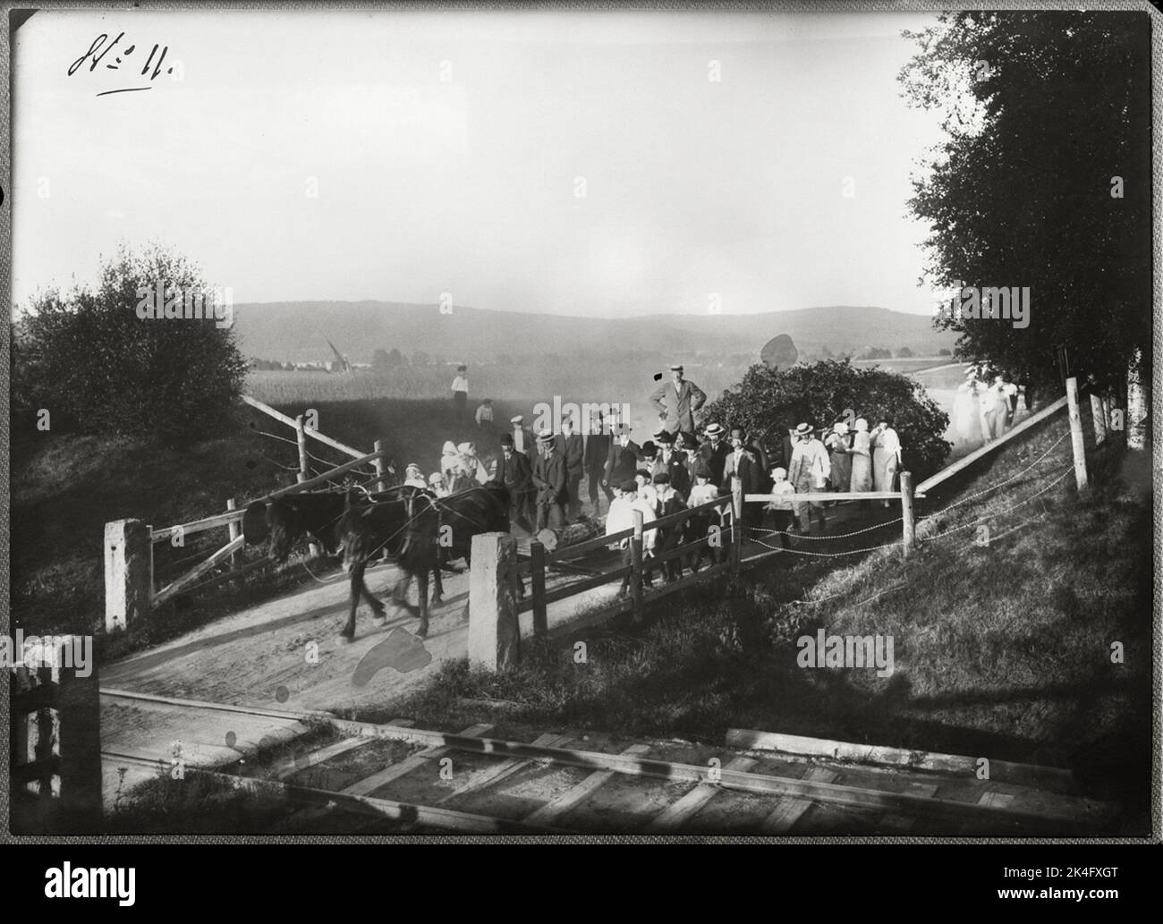 Dalarna. Åls sn. Crutch, quand un plus grand bouleau est conduit avec de la musique à un futur couple de mariée, qu'il a été brillant pour la première fois. Tâche soumise par Back O. Ericsson, Holen, Insjön, qui possède la photo originale. Pays nordiques Banque D'Images