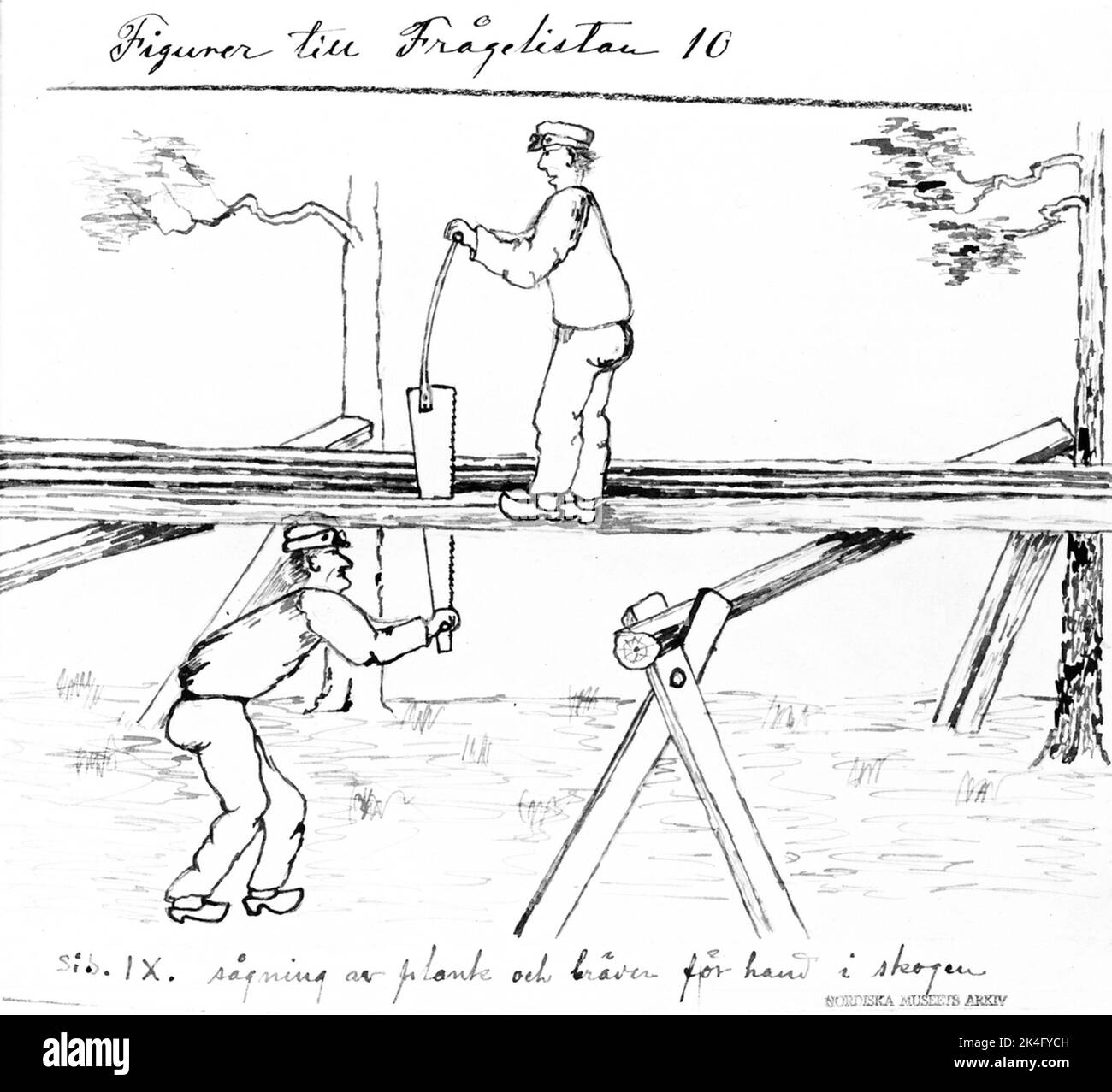 Sciage toutes les heures, illustration d'un des questionnaires du Musée nordique. La planche et les planches ont été découpées à l'aide d'une technique appelée scie à couronne, ce qui signifie placer la bûche dans une position de sorte que deux vous puissiez manipuler la scie dans une direction verticale. Pays nordiques Banque D'Images