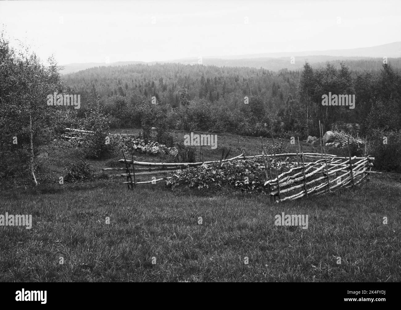 Warmland paysage avec Kålland (choux lit) clôturé par cour. Pays nordiques Banque D'Images