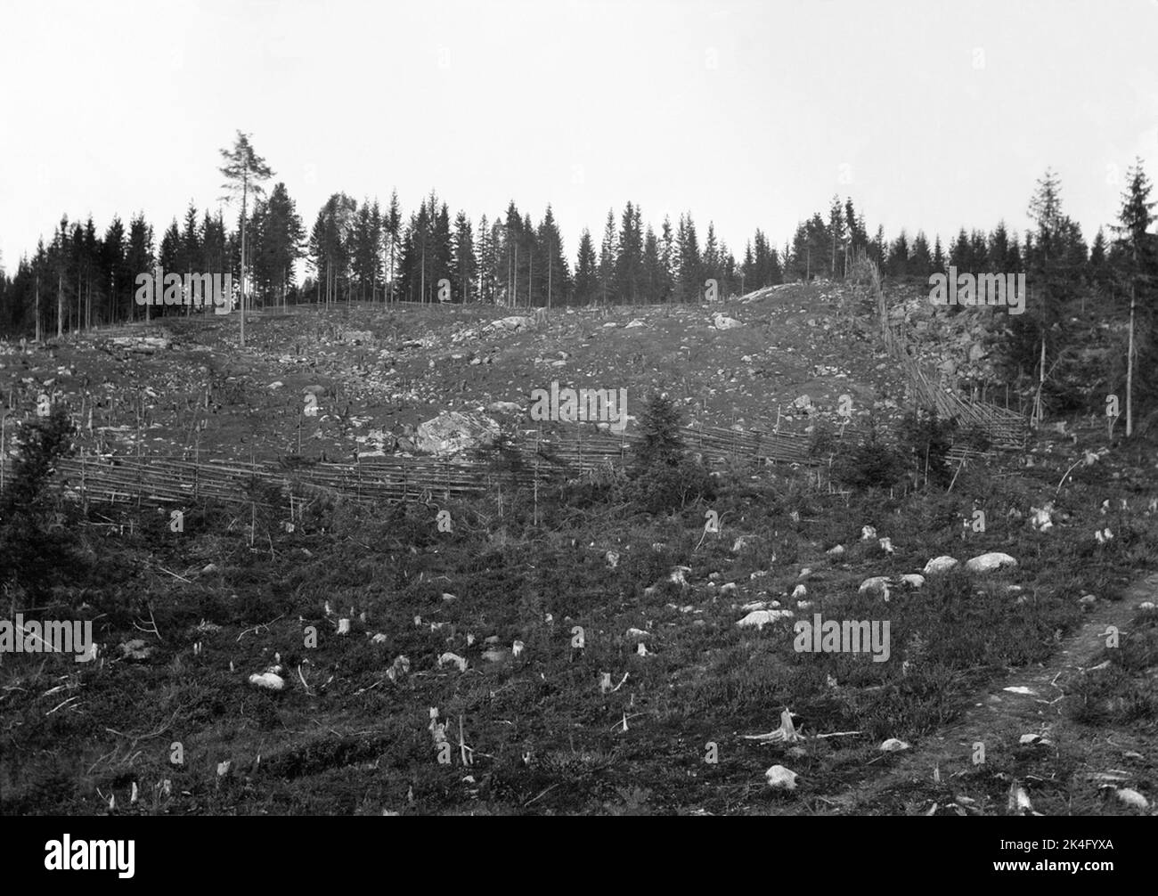 Sneeal Svedjeland par Södra Meadow, Märrtjärn, Grassland à Värmland. Pays nordiques Banque D'Images